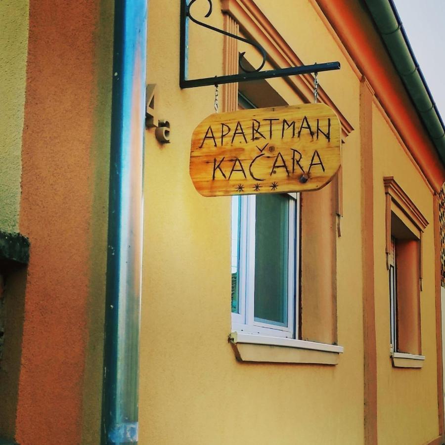 Apartmani Kacara Sremski Karlovci Esterno foto