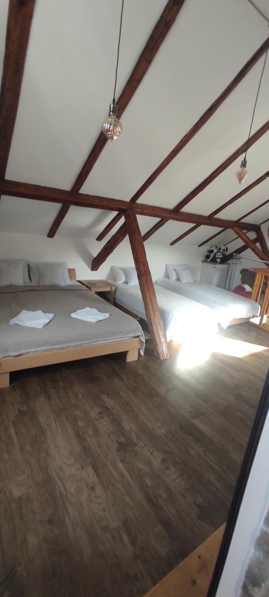 Apartmani Kacara Sremski Karlovci Esterno foto